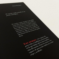 Tema: Libro "El Prisionero" | Docente: Yonita Muñoz  | Alumnos: Victor Vega, Ingrid Peñailillo | Año 2015