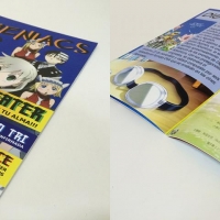 Tema: Folleto Libre | Docente: Carmen Lopez  | SN | Año 2015