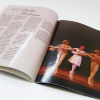 Tema: Revista Tema Libre | Docente: Amparito Gimenez  | Alumno: Sebastian Acuña | Año: 2016