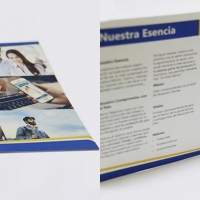 Tema: Brochure | Docente: Carlos Ibarrola | SN | Computación Gráfica IV: Software Aplicado | Año 2016