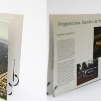 Tema: Brochure | Docente: Carlos Ibarrola | SN | Computación Gráfica IV: Software Aplicado | Año 2016