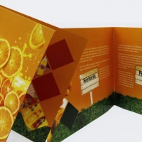 Tema: Brochure | Docente: Carlos Ibarrola | Alumna: Surina Santacruz | Computación Gráfica IV: Software Aplicado | Año 2016