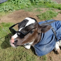 Viaje a Uruguay - Agronomía y Veterinaria