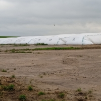 Viaje a Uruguay - Agronomía y Veterinaria