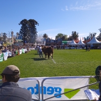 Viaje a Uruguay - Agronomía y Veterinaria