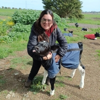 Viaje a Uruguay - Agronomía y Veterinaria