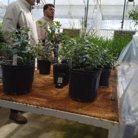 Viaje a Uruguay - Agronomía y Veterinaria