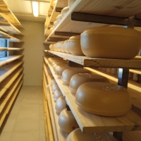 Viaje a Uruguay - Agronomía y Veterinaria