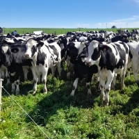 Viaje a Uruguay - Agronomía y Veterinaria