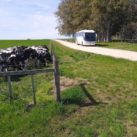 Viaje a Uruguay - Agronomía y Veterinaria