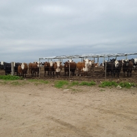 Viaje a Uruguay - Agronomía y Veterinaria