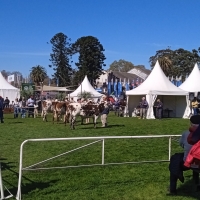 Viaje a Uruguay - Agronomía y Veterinaria