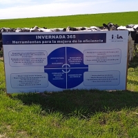 Viaje a Uruguay - Agronomía y Veterinaria