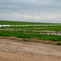 Viaje a Uruguay - Agronomía y Veterinaria