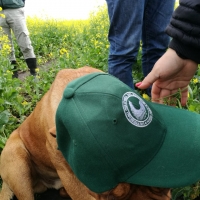 Viaje a Uruguay - Agronomía y Veterinaria