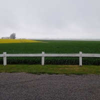 Viaje a Uruguay - Agronomía y Veterinaria