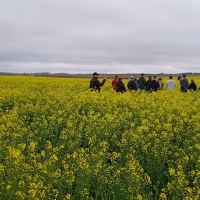 Viaje a Uruguay - Agronomía y Veterinaria
