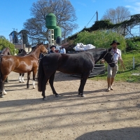 Viaje a Uruguay - Agronomía y Veterinaria