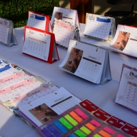 Feria de Emprendedores