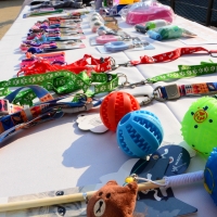 Feria de Emprendedores