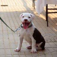 Feria de Emprendedores