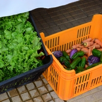 Feria de Emprendedores