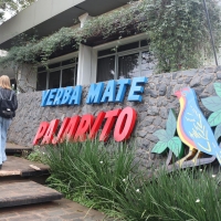 Visita técnica. Ruta de la Yerba Mate - Itapúa