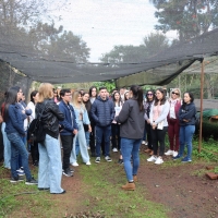 Visita técnica. Ruta de la Yerba Mate - Itapúa