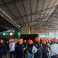 Visita técnica. Ruta de la Yerba Mate - Itapúa