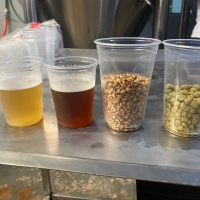 Visita técnica. Ruta de la Yerba Mate - Itapúa