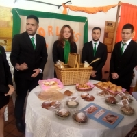 Sociología del Consumidor y Marketing Industrial