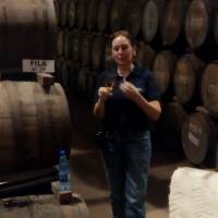 La ruta de la caña”