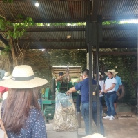 La ruta de la caña”