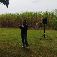 La ruta de la caña”