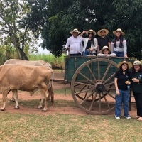 La ruta de la caña”