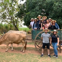 La ruta de la caña”