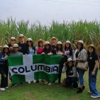 La ruta de la caña”