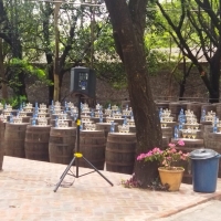 La ruta de la caña”