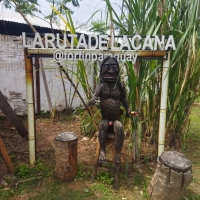 La ruta de la caña”