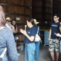 La ruta de la caña”