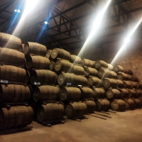 La ruta de la caña”