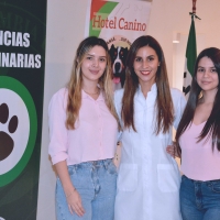 Charla sobre "Manejo analgésico y anestésico en gestantes"