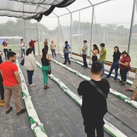 Charla Producción Hortícola en Sistema de Ambiente Protegido