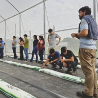 Charla Producción Hortícola en Sistema de Ambiente Protegido