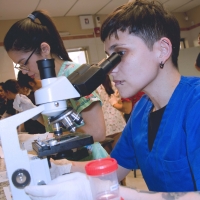 Taller Práctico sobre el Uso del Microscopio en Clínicas