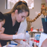 Taller Práctico sobre el Uso del Microscopio en Clínicas