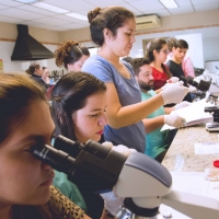 Taller Práctico sobre el Uso del Microscopio en Clínicas