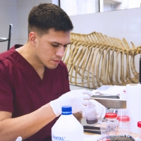 Taller Práctico sobre el Uso del Microscopio en Clínicas