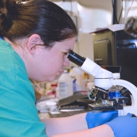 Taller Práctico sobre el Uso del Microscopio en Clínicas