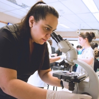 Taller Práctico sobre el Uso del Microscopio en Clínicas